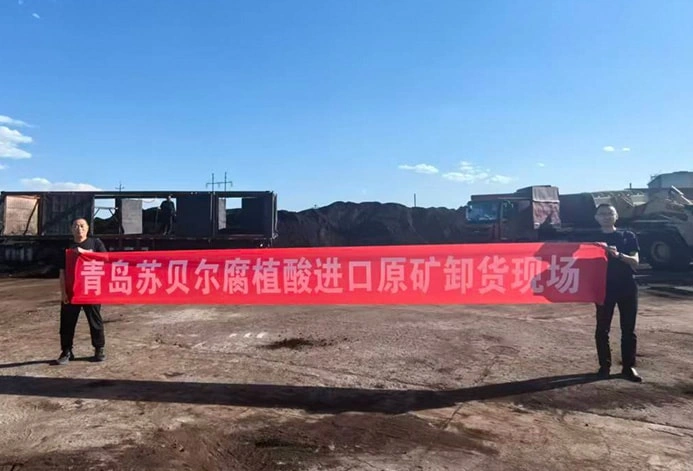 为了收取最优原料，收集并检测了514个国内外优秀产区煤样