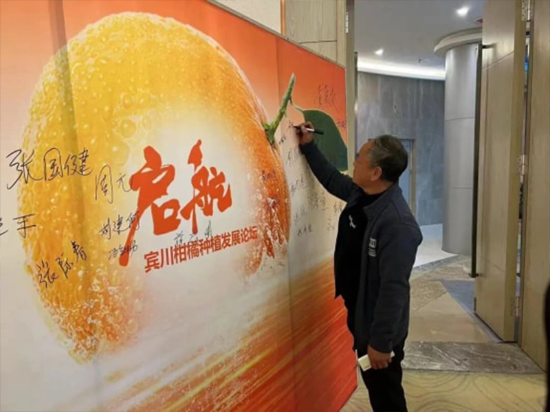 启航——宾川柑橘种植发展论坛